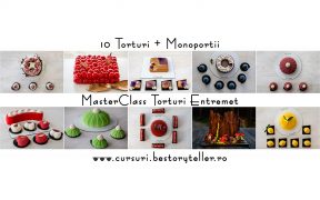 MasterClass Torturi Entremet